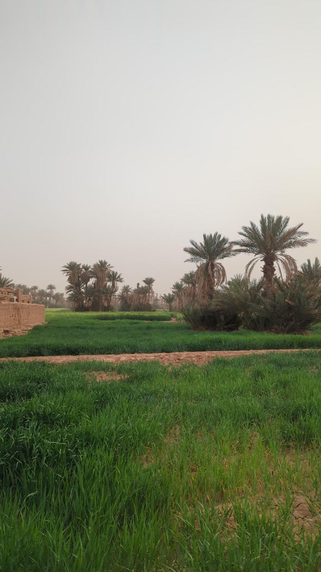 Kasbah Desert Camp Campsite M'Hamid