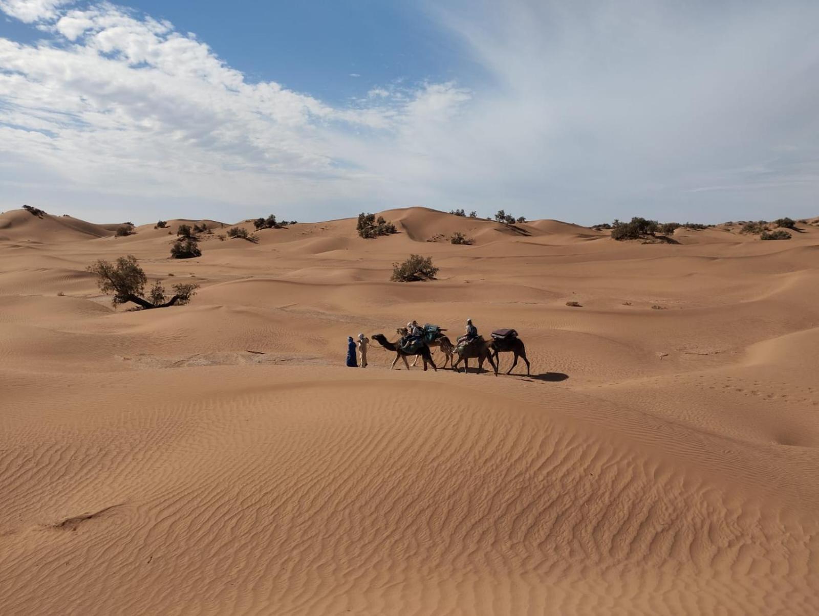 Kasbah Desert Camp Campsite M'Hamid