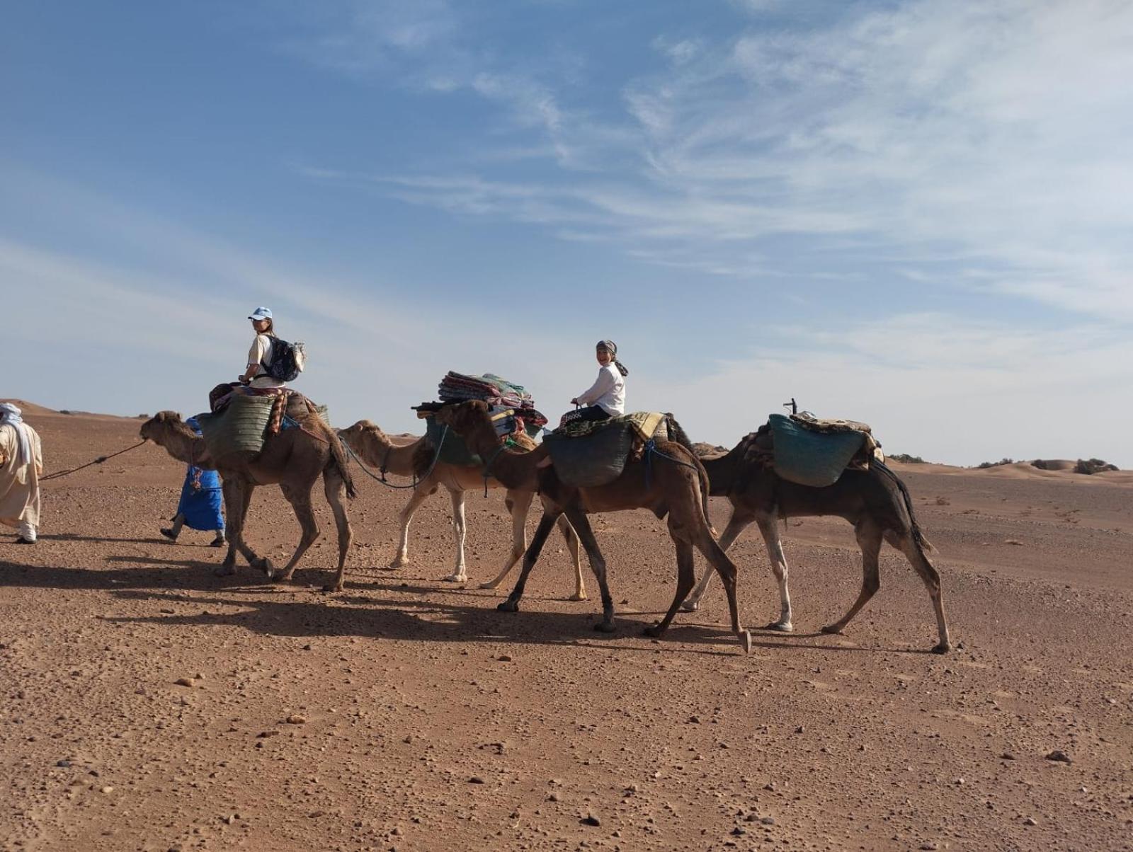 Kasbah Desert Camp Campsite *