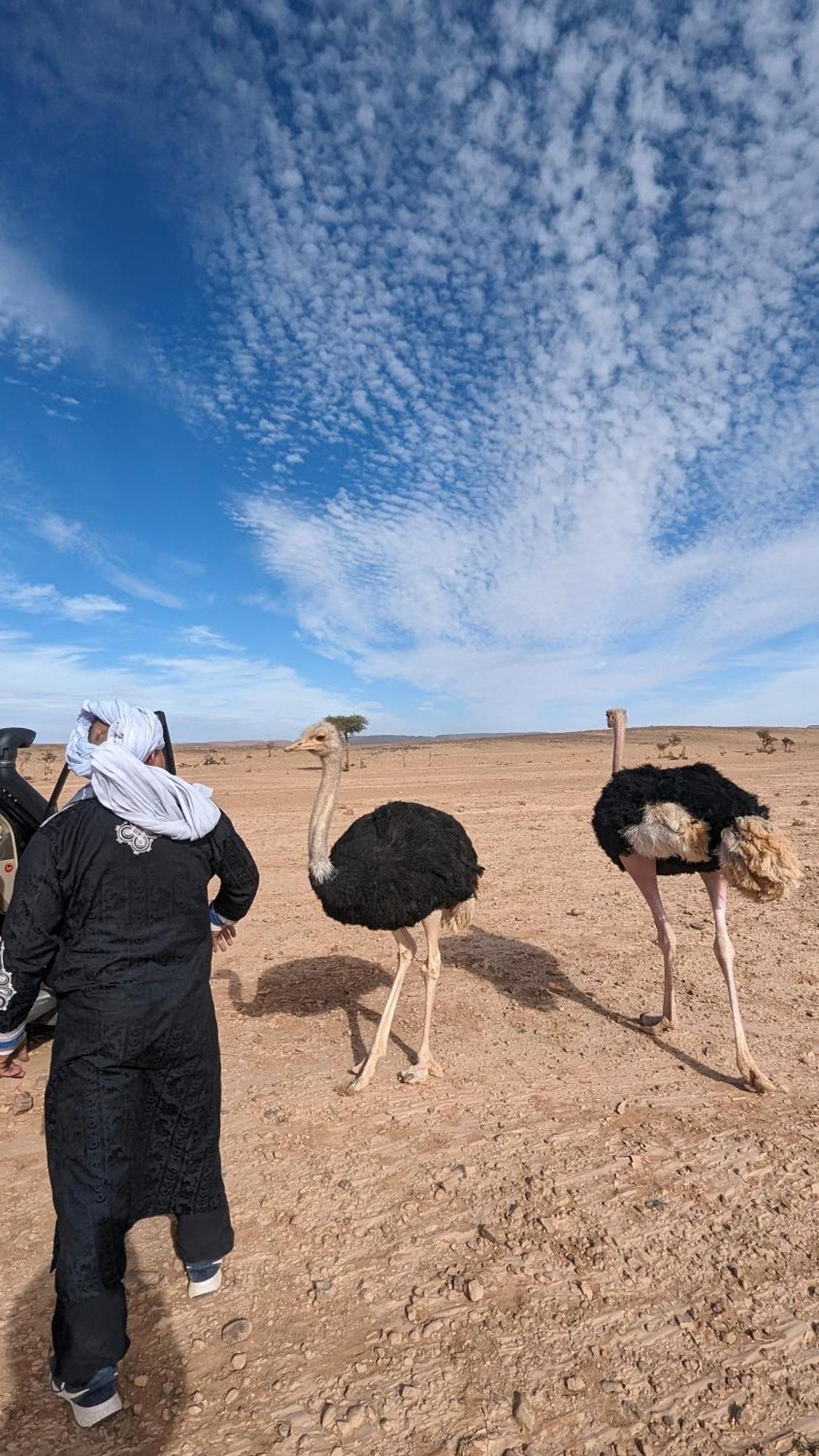 Kasbah Desert Camp Campsite *