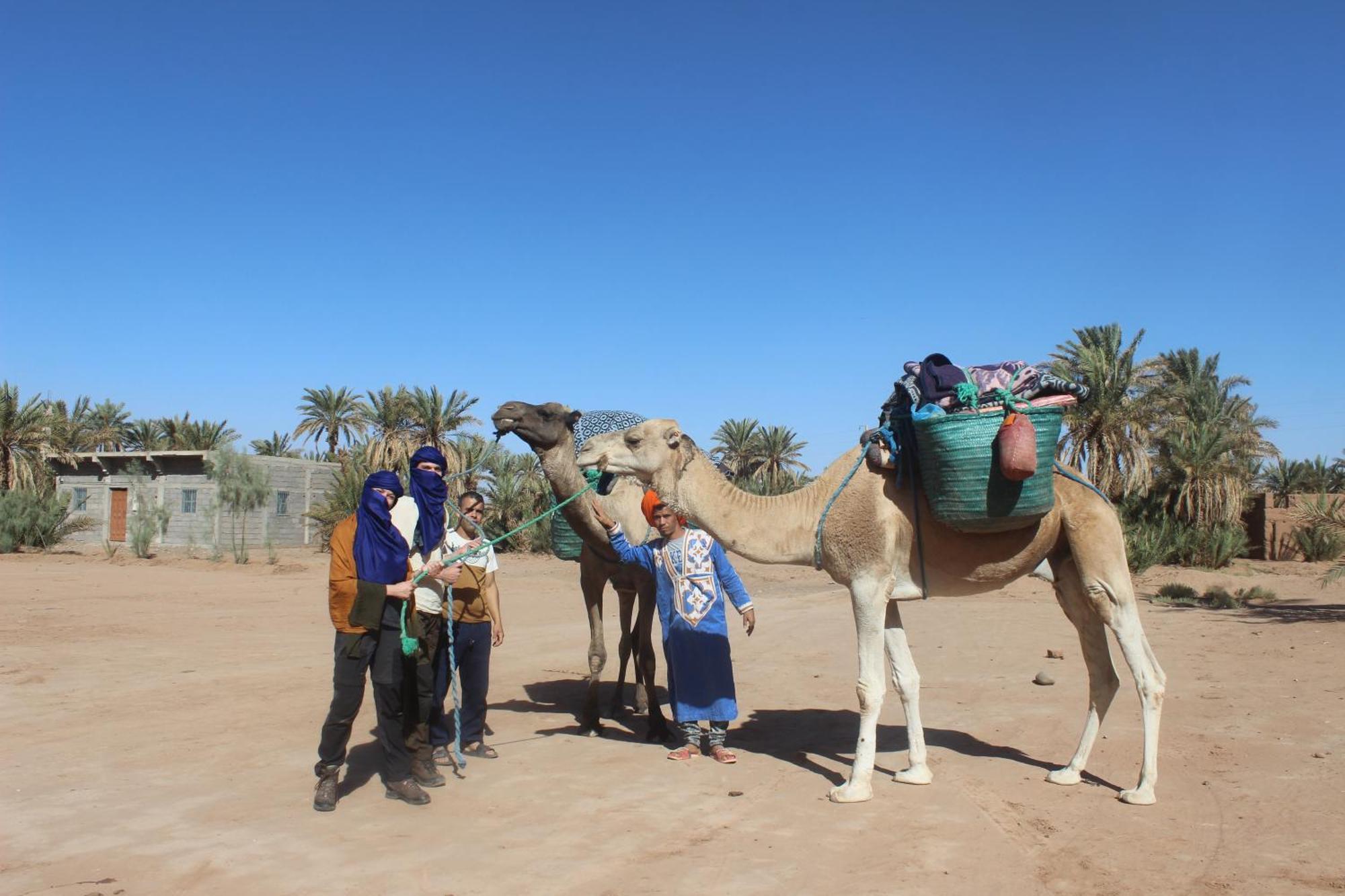 Campsite Kasbah Desert Camp *