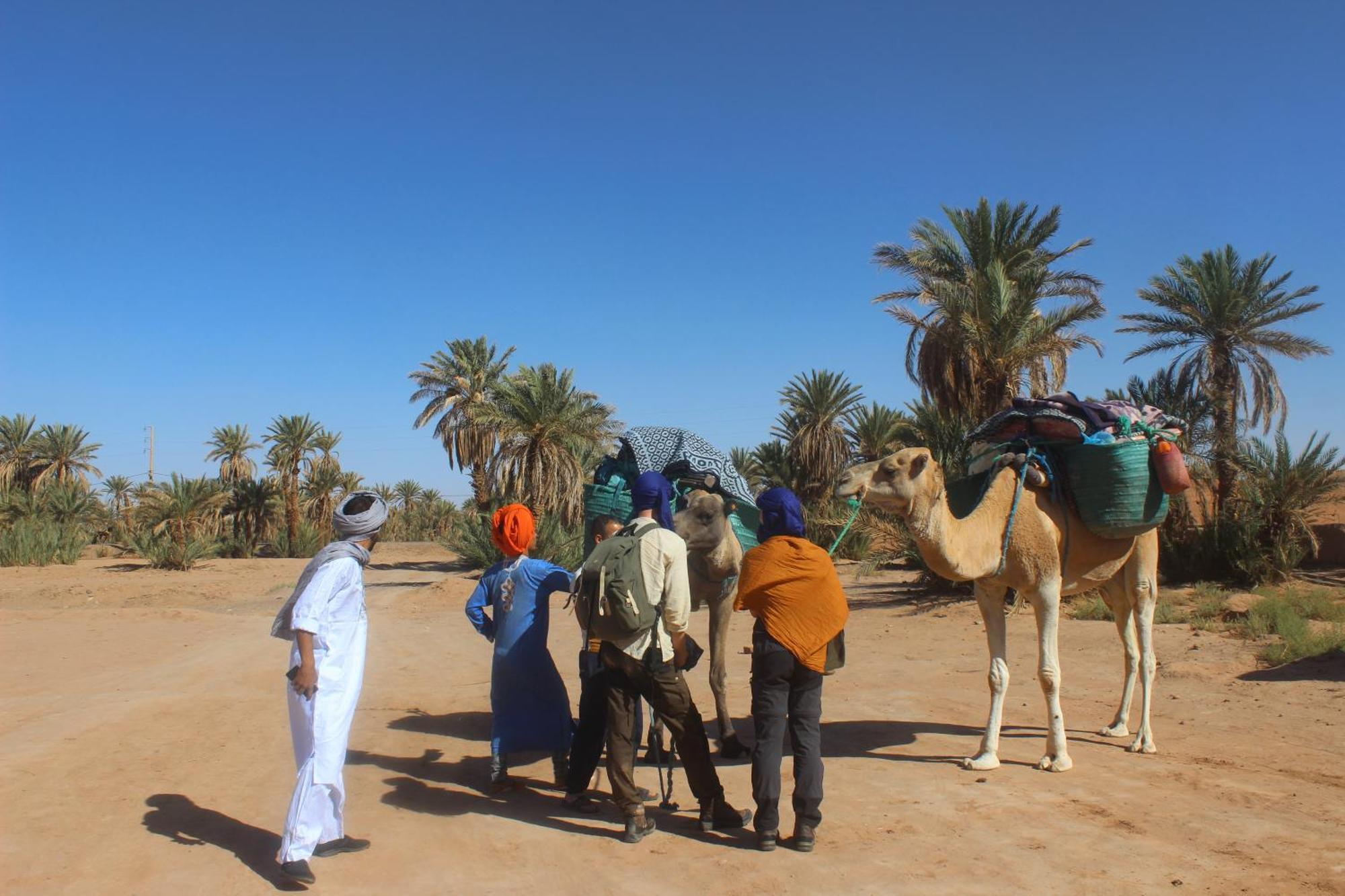 Kasbah Desert Camp Campsite