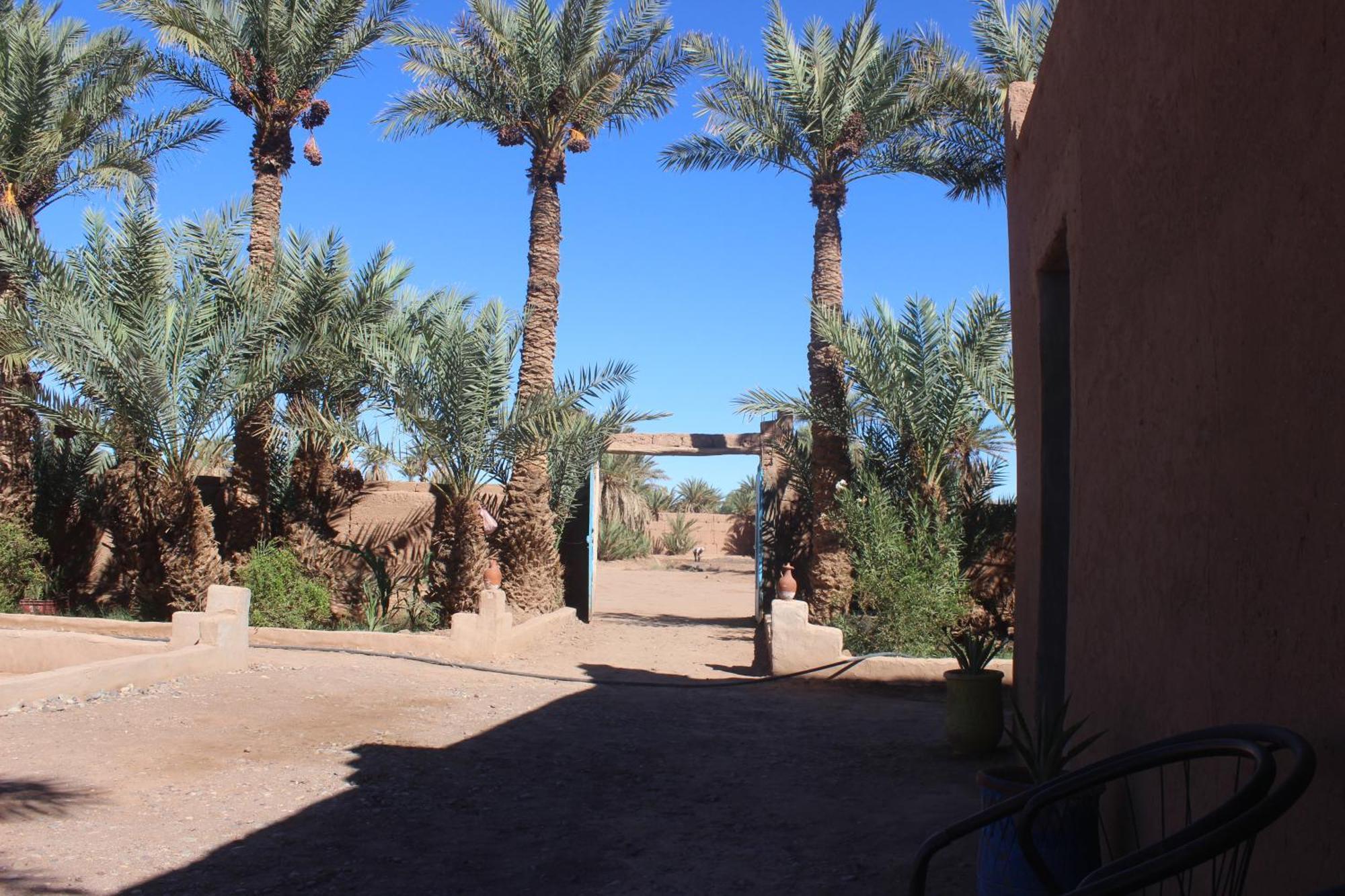 Kasbah Desert Camp Campsite *