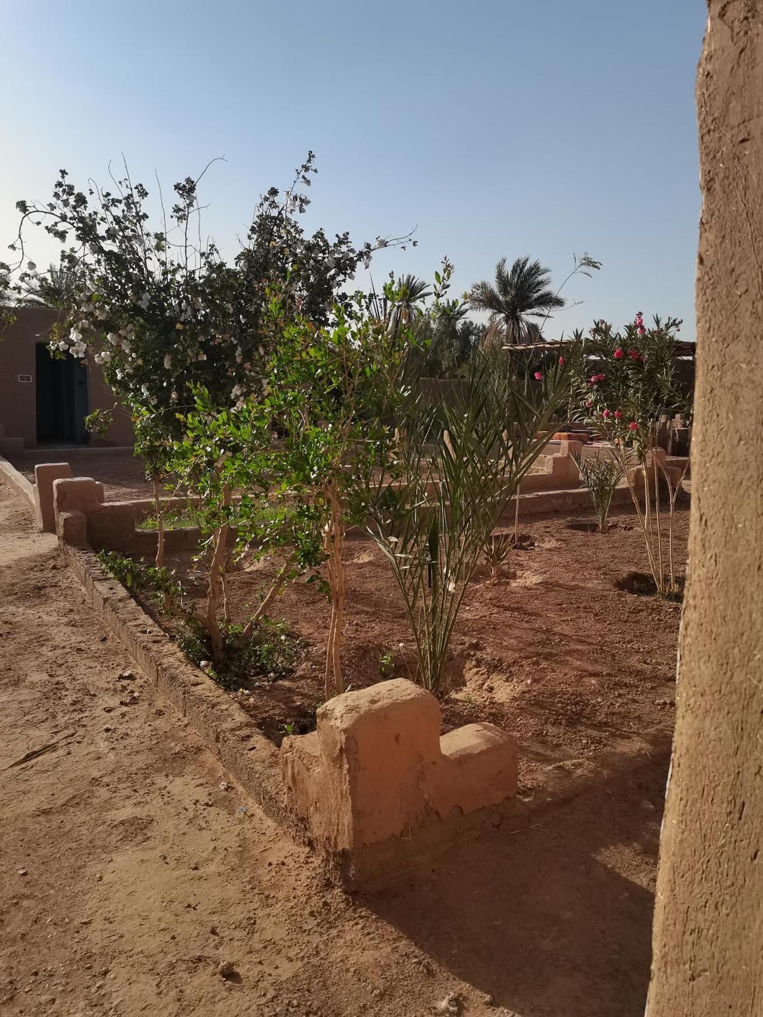 Kasbah Desert Camp *